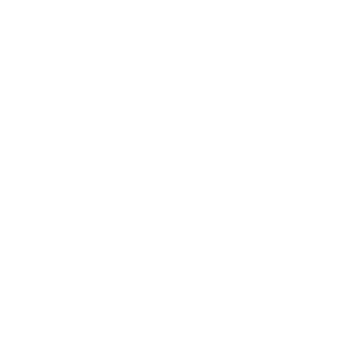 Bradley Riot