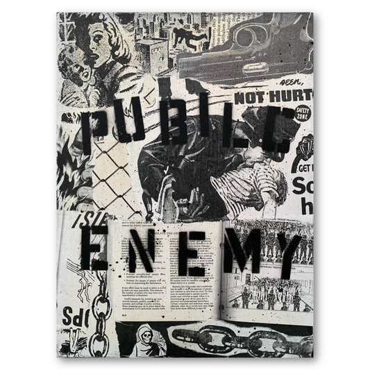 "PUBLIC ENEMY" - PUNX NOT DEAD